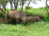 Sdafrika 090006
