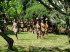Sdafrika 090018