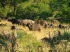 Sdafrika 090020