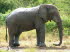 Sdafrika 110013