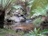 Tasmanien 20021