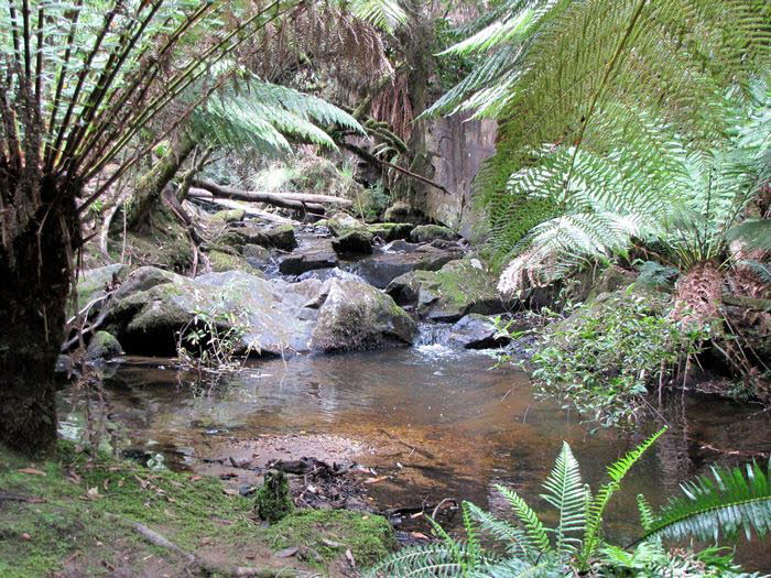 Tasmanien 20021