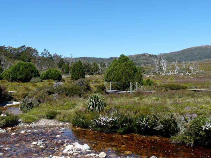 Tasmanien 30017