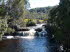 Tasmanien 30019
