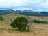 Tasmanien 30024