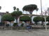 Teror_0055