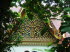 Thailand 20004