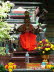 Thailand 50016