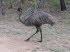 Tiere 130017