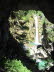 Tscheppaschlucht_h0023