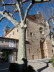 Valldemossa_0009