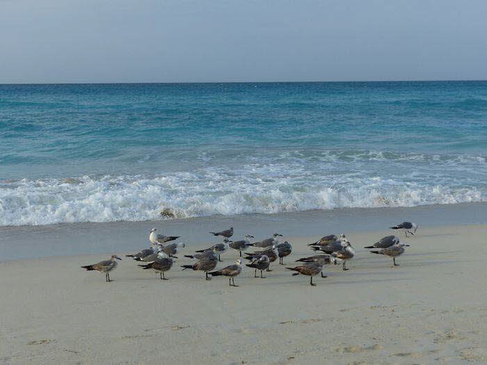 Varadero_240025