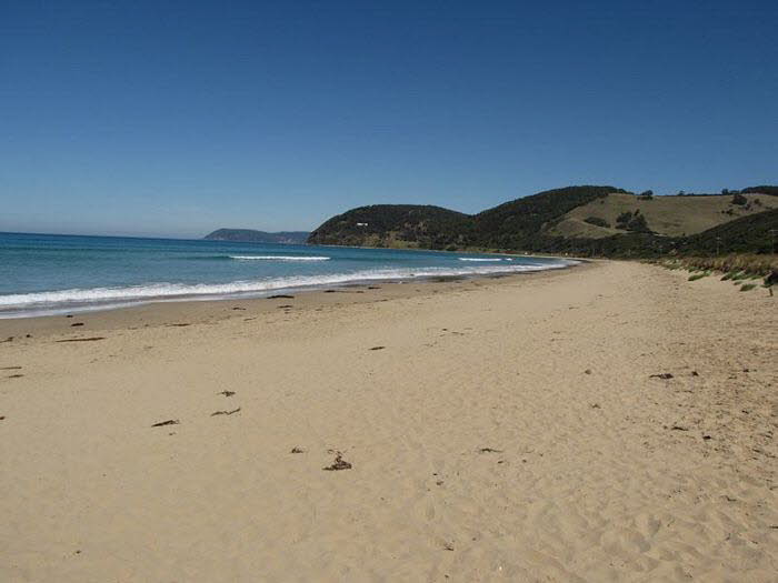 Victoria 20008