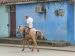 Vinales_0009