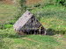 Vinalestal_0006