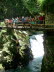Vintarschlucht_h0032