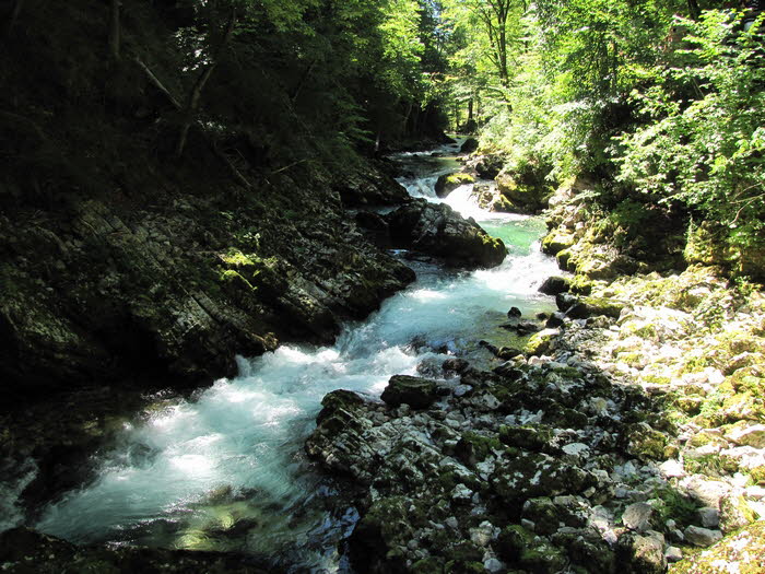Vintarschlucht_q0005