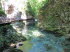Vintarschlucht_q0017