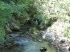 Vintarschlucht_q0022