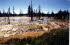 Yellowstone NP 13