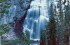 Yellowstone NP 22