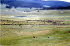 Yellowstone NP 25