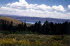 Yellowstone NP 3