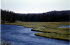 Yellowstone NP 7