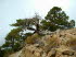 Zypern 030011