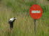 tnSuedafrika 2005 Reinhard 1075
