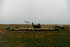 tnSyrien_Jordanien033