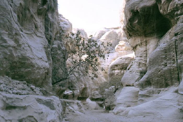 tnSyrien_Jordanien170