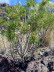 unterwegs_GC_0039