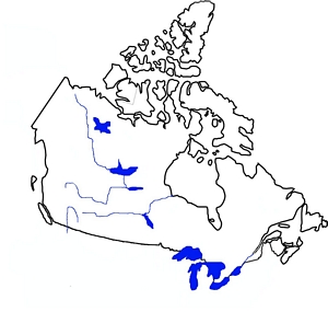 tn300Canada