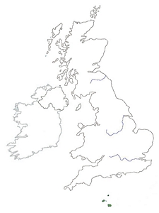 tn300England 2