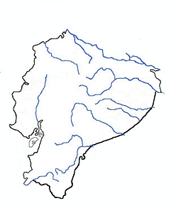 tn300Equador