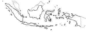 tn300Indonesien