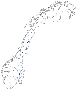 tn300Norwegen