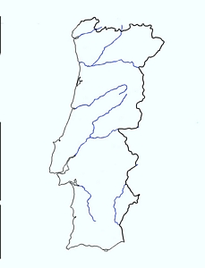tn300Portugal