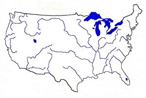 tn300USA